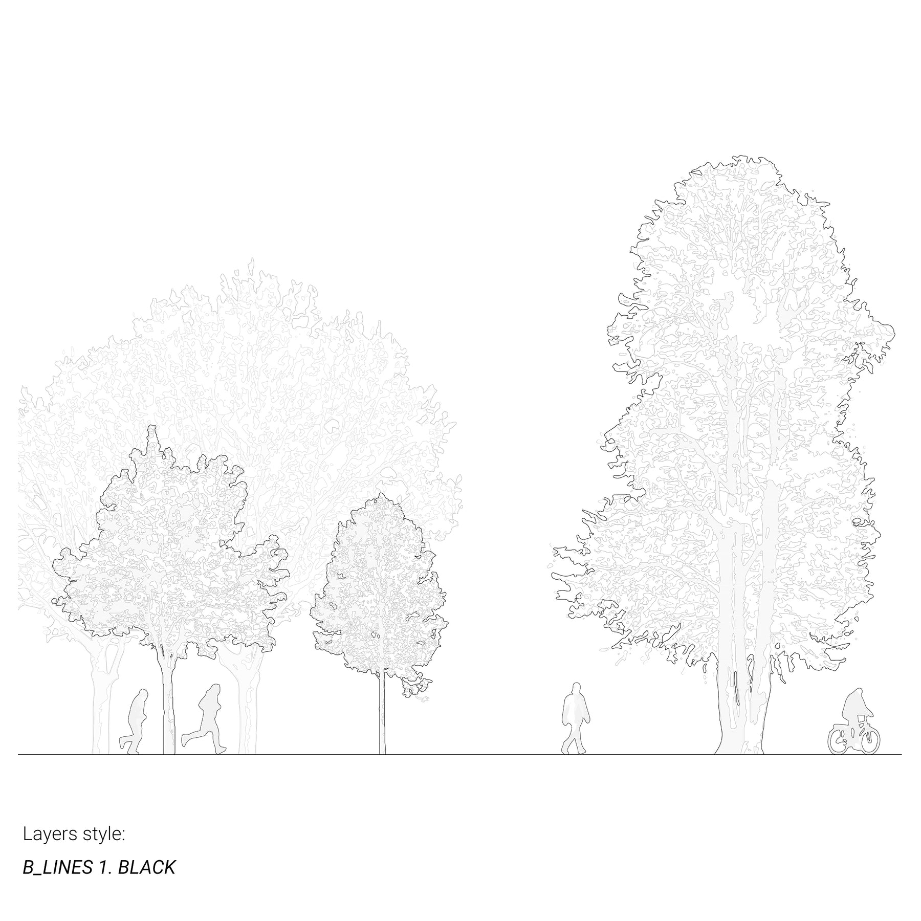 Hand-drawn tree elevations in vectorial linework — DWG line drawings for AutoCAD and Rhino