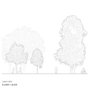 Hand-drawn tree elevations in vectorial linework — DWG line drawings for AutoCAD and Rhino