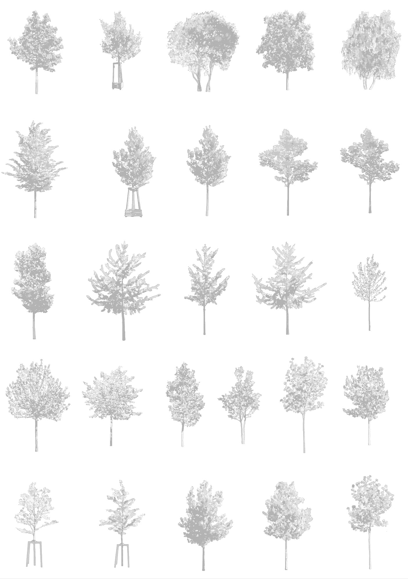 Small tree CAD blocks — diverse trees for sections and elevations, DWG for AutoCAD
