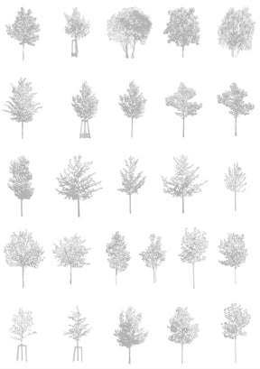 Small tree CAD blocks — diverse trees for sections and elevations, DWG for AutoCAD
