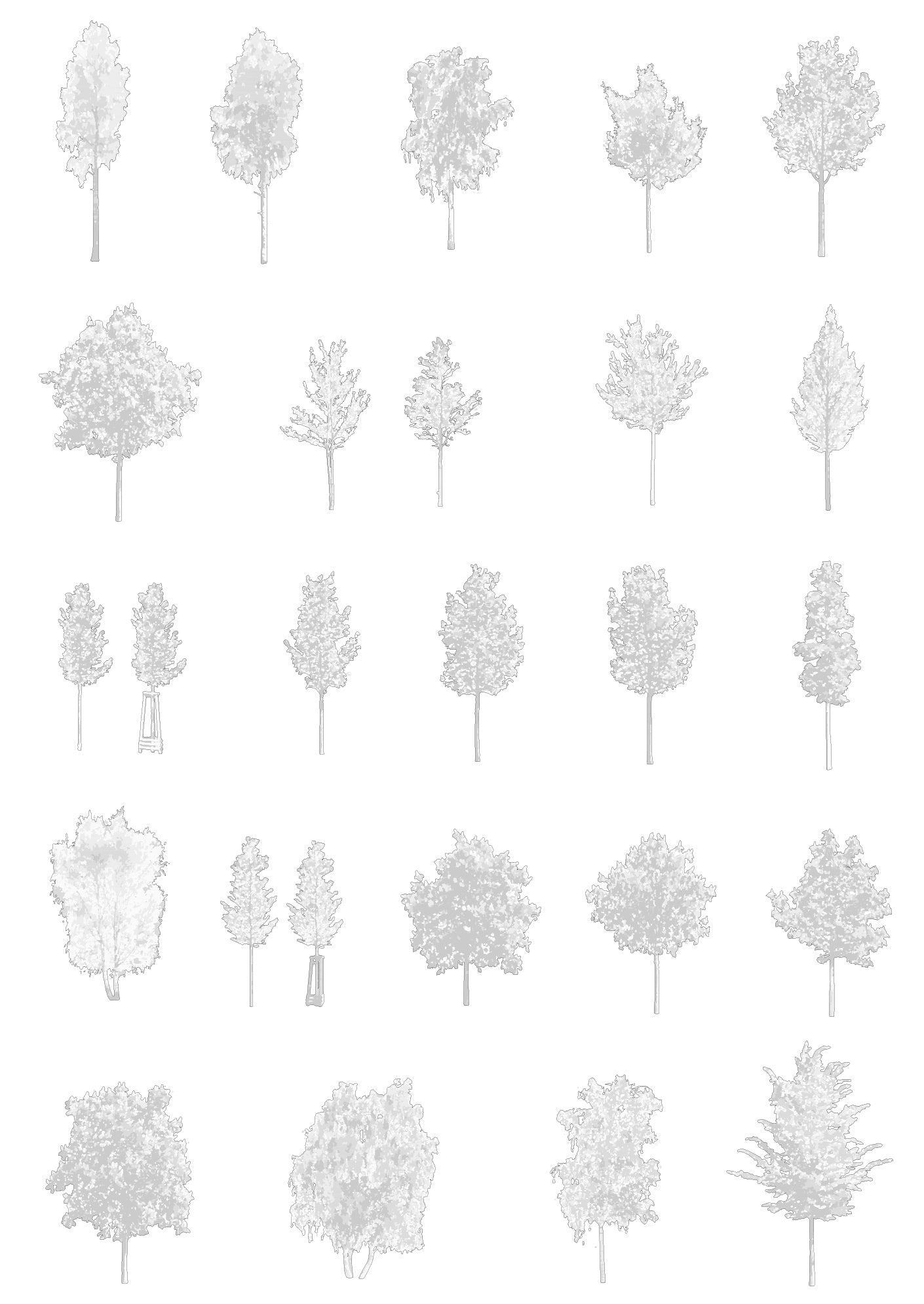 Small tree CAD blocks — diverse DWG files for architectural elevations and landscape drawings