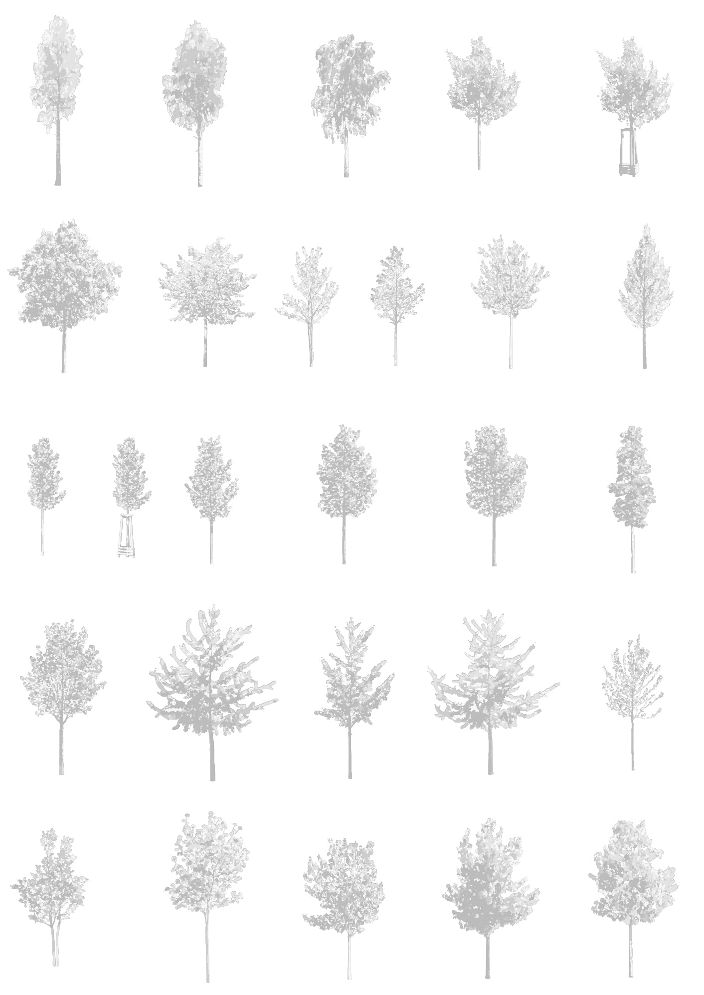 Small tree CAD blocks — diverse trees for architectural drawings and sections, DWG