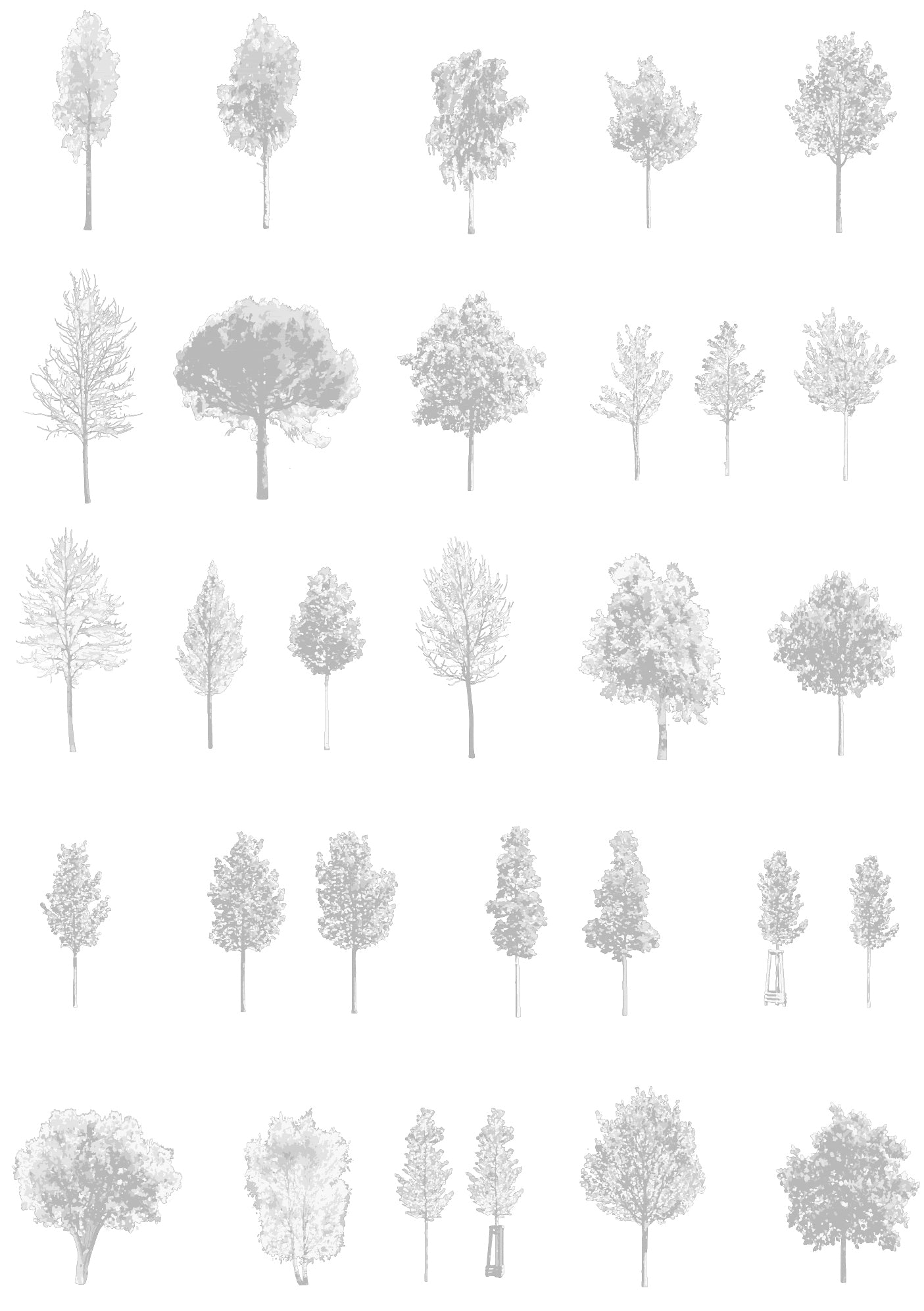 Small tree CAD blocks — diverse trees for architectural drawings and sections, DWG