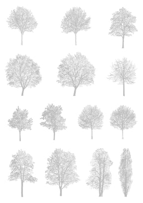 DWG tree library — preview of diverse vector trees in the Core Package, for Autodesk and Rhino