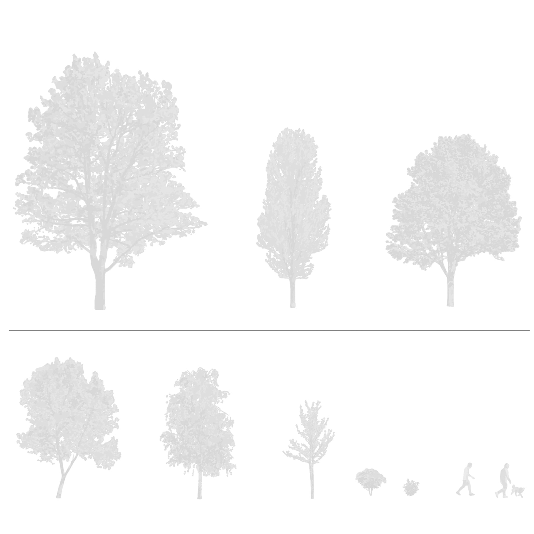 CAD tree blocks in architectural drawing — diverse trees for sections and elevations, DWG