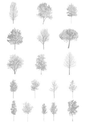 CAD tree blocks in architectural drawing — diverse trees for sections and elevations, DWG