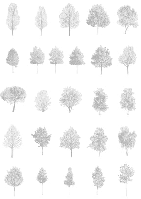 CAD tree blocks in architectural drawing — diverse trees for sections and elevations, DWG