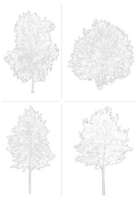 CAD tree blocks — diverse tree library for AutoCAD architectural drawings and sections