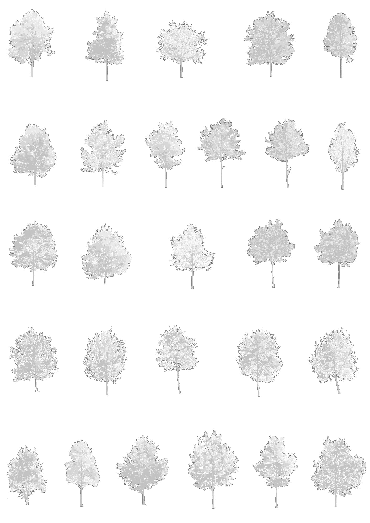 Medium tree CAD blocks — DWG files for architectural elevations and sections