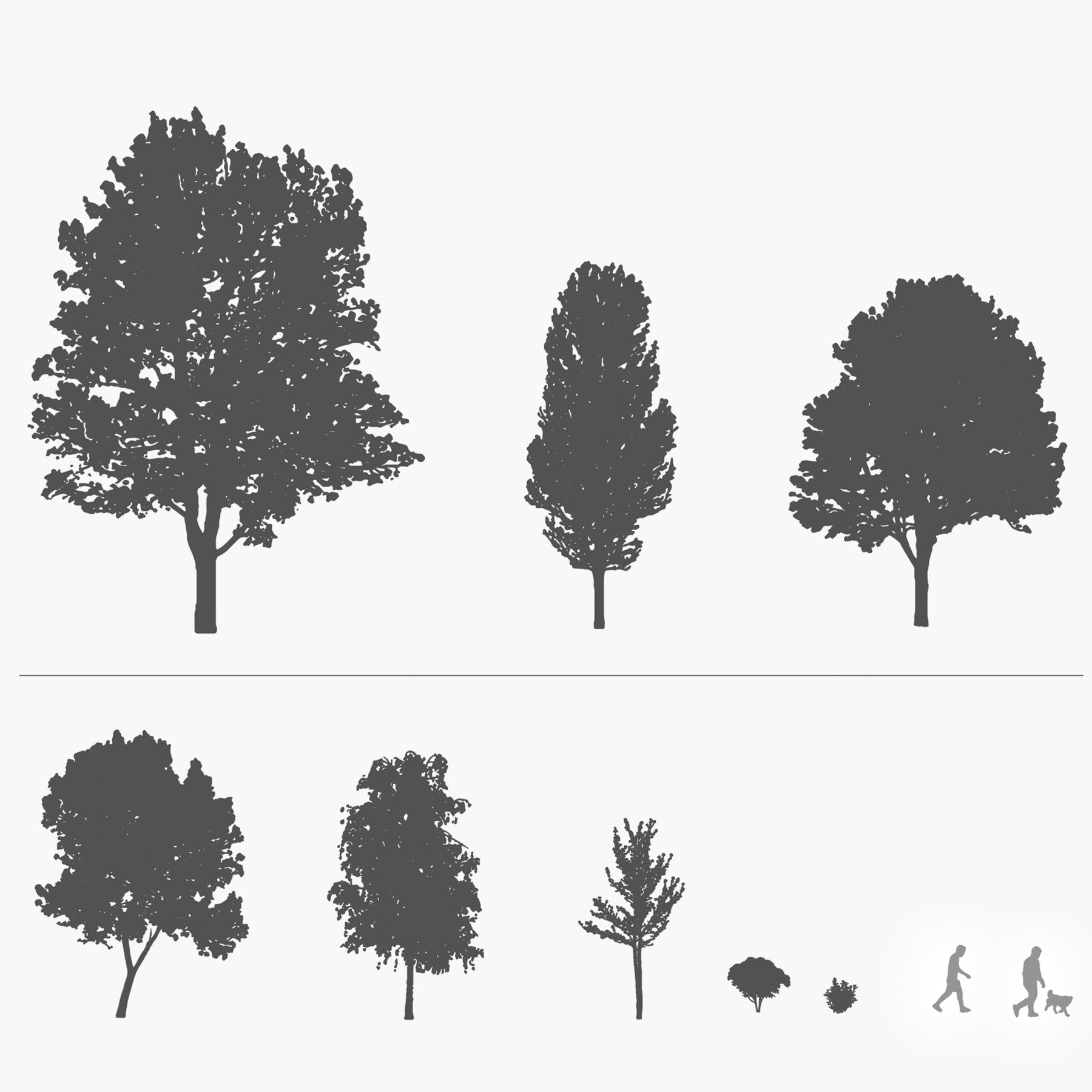 CAD tree blocks in silhouette — high contrast trees for architectural sections and elevations, DWG