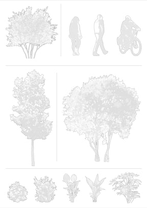 CAD trees, shrubs and people drawings. Blocks — DWG files for architecture 