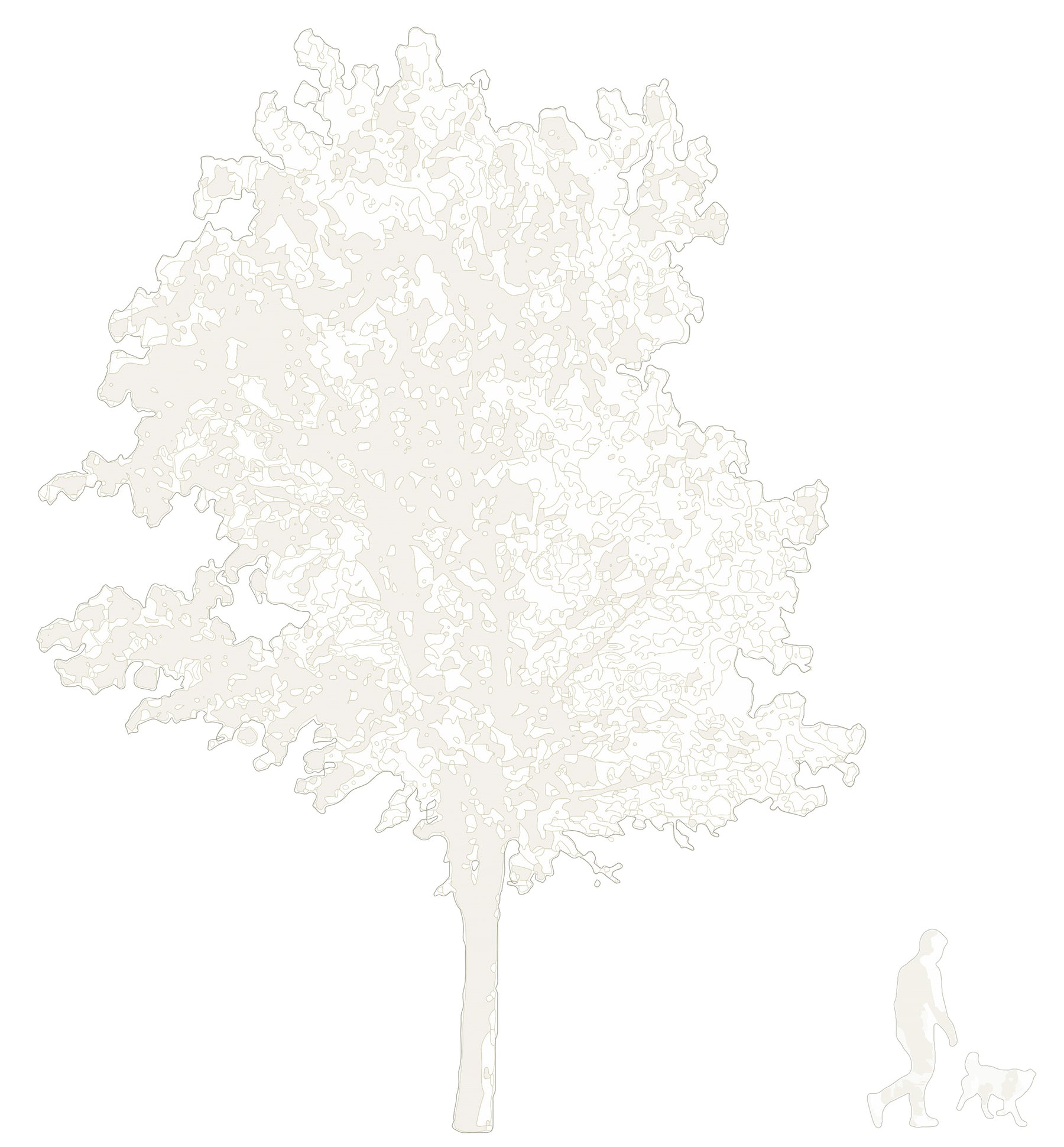 CAD tree blocks in elevation — diverse trees, DWG files for architectural drawings