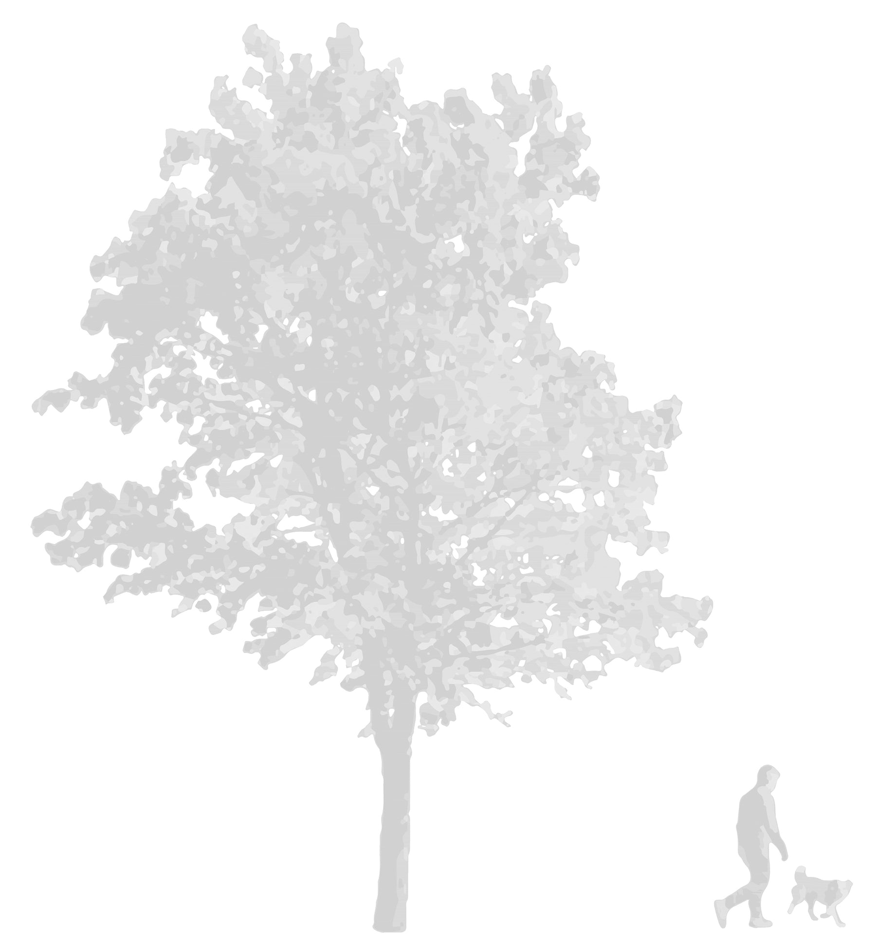 CAD tree blocks in elevation — vectorial DWG drawing for architectural sections and elevations