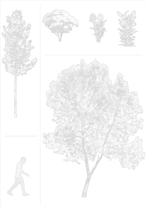 CAD trees and shrubs in elevation — DWG drawings for architecture