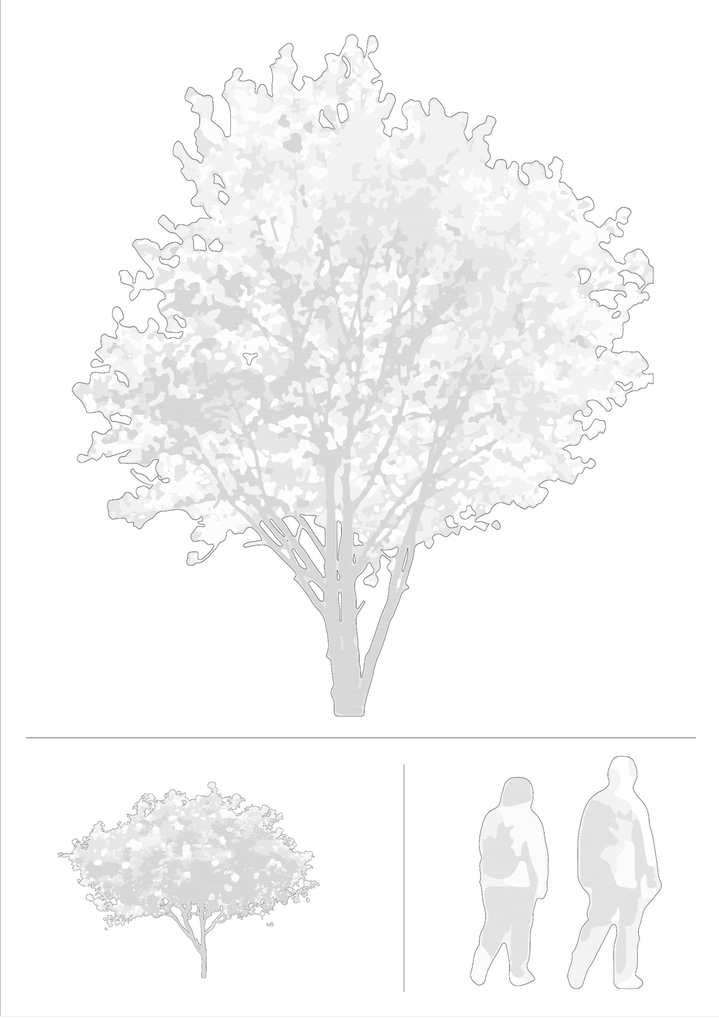 DWG 2