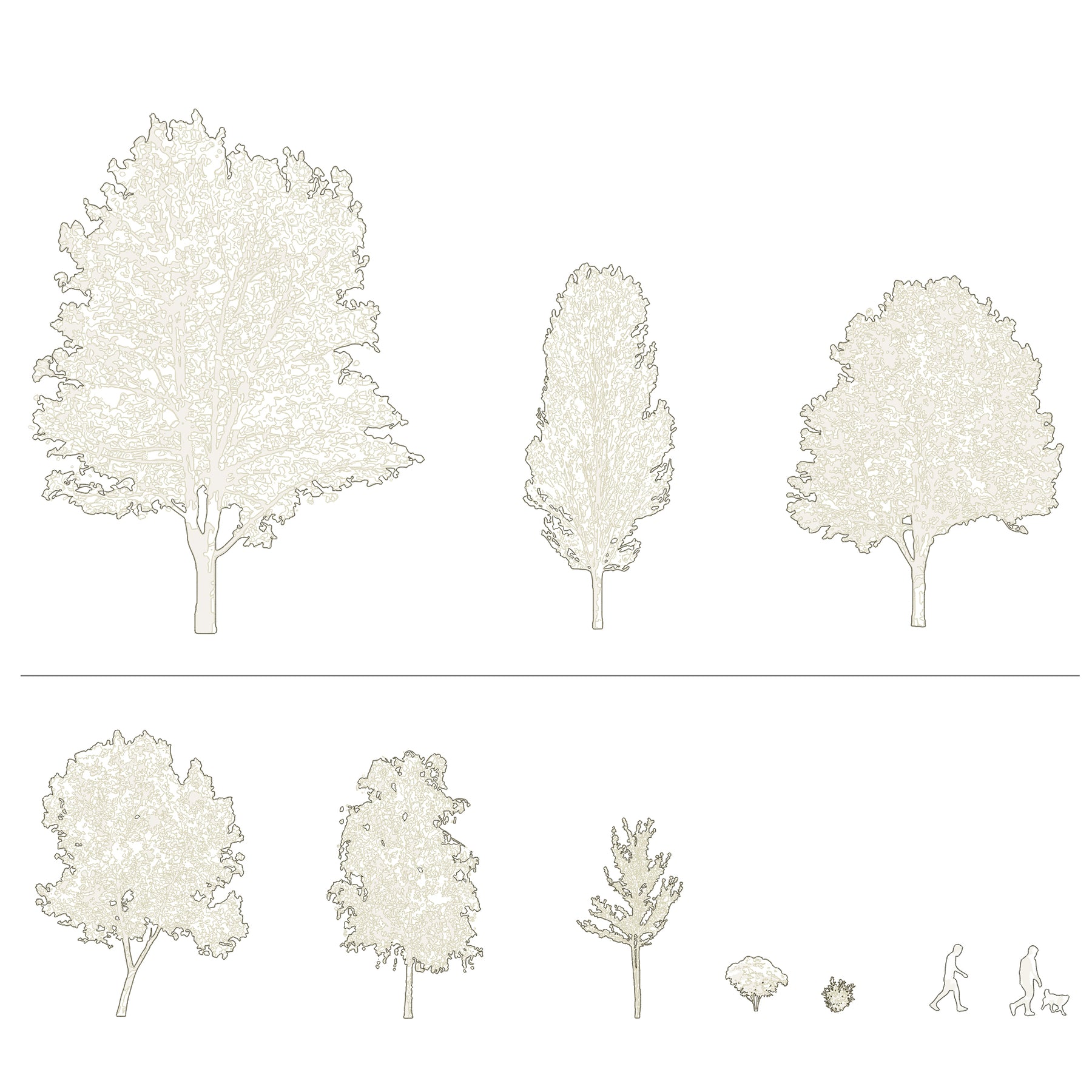 CAD trees and people in architectural drawing — DWG blocks for sections and elevations