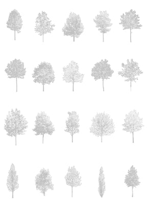 CAD tree blocks — diverse tree drawings for architecture and landscape design, DWG