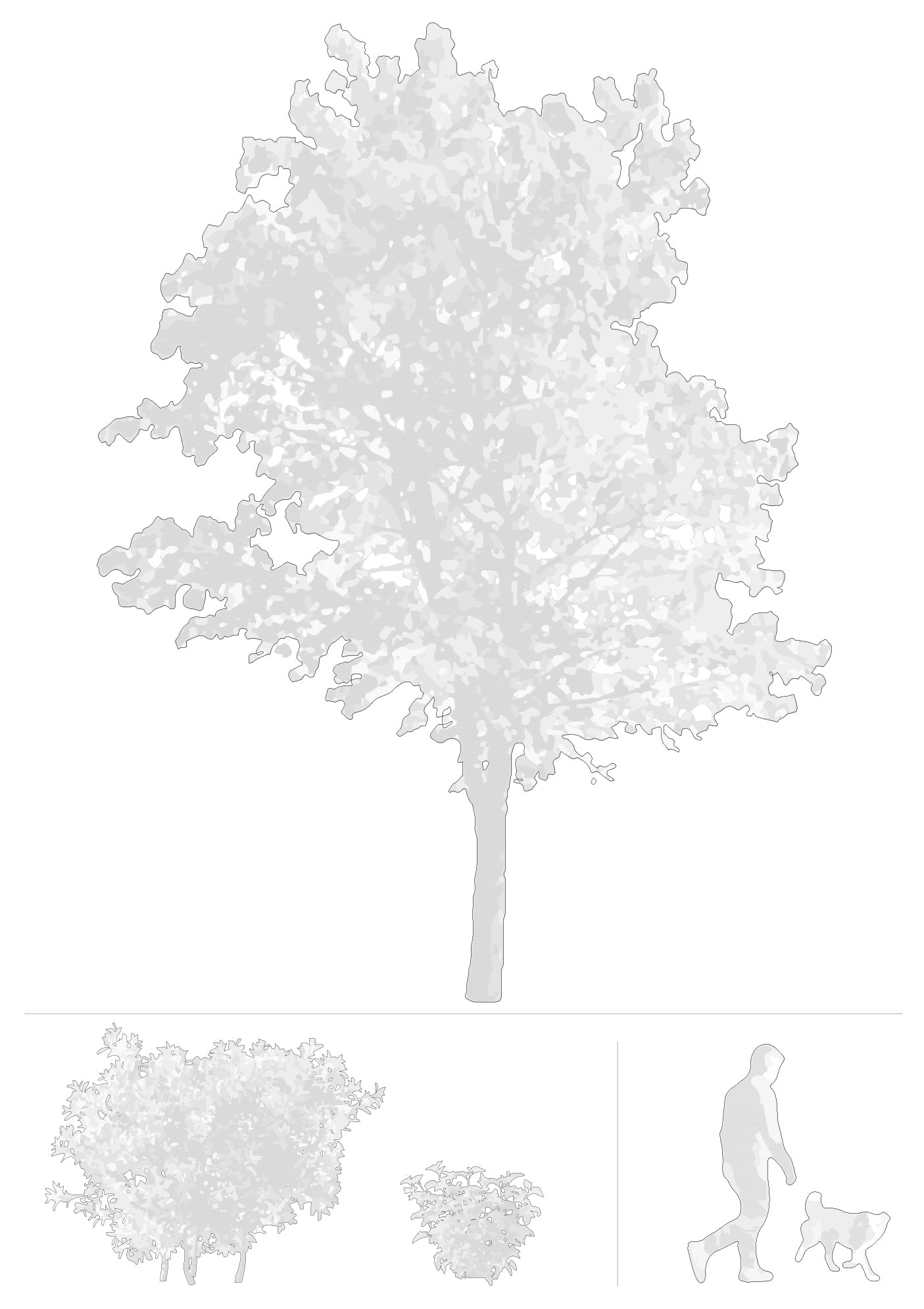 Tree and person in DWG — single vector elevation block for SketchUp, AutoCAD and architectural compositions