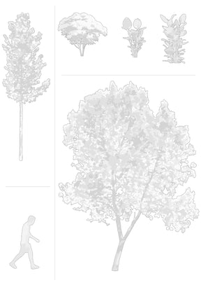 CAD trees, shrubs and people in architectural drawing — complete entourage DWG for AutoCAD
