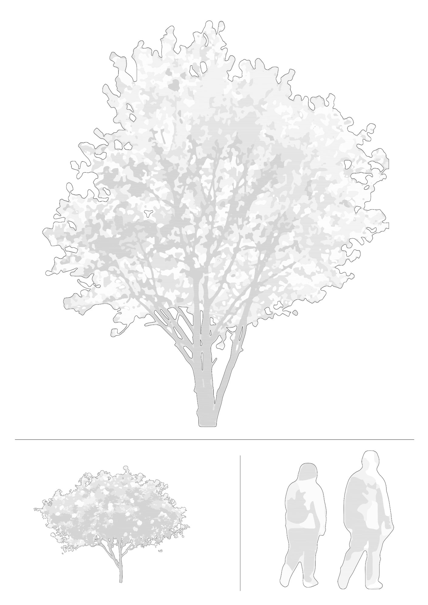 CAD trees, shrubs and people in architectural drawing — complete entourage DWG for AutoCAD