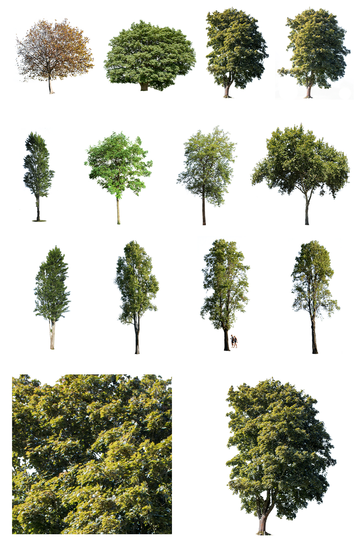 12 Large trees Pack - cutout trees