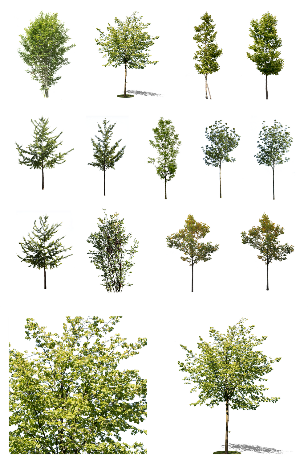 Small Trees Package Cutouttrees
