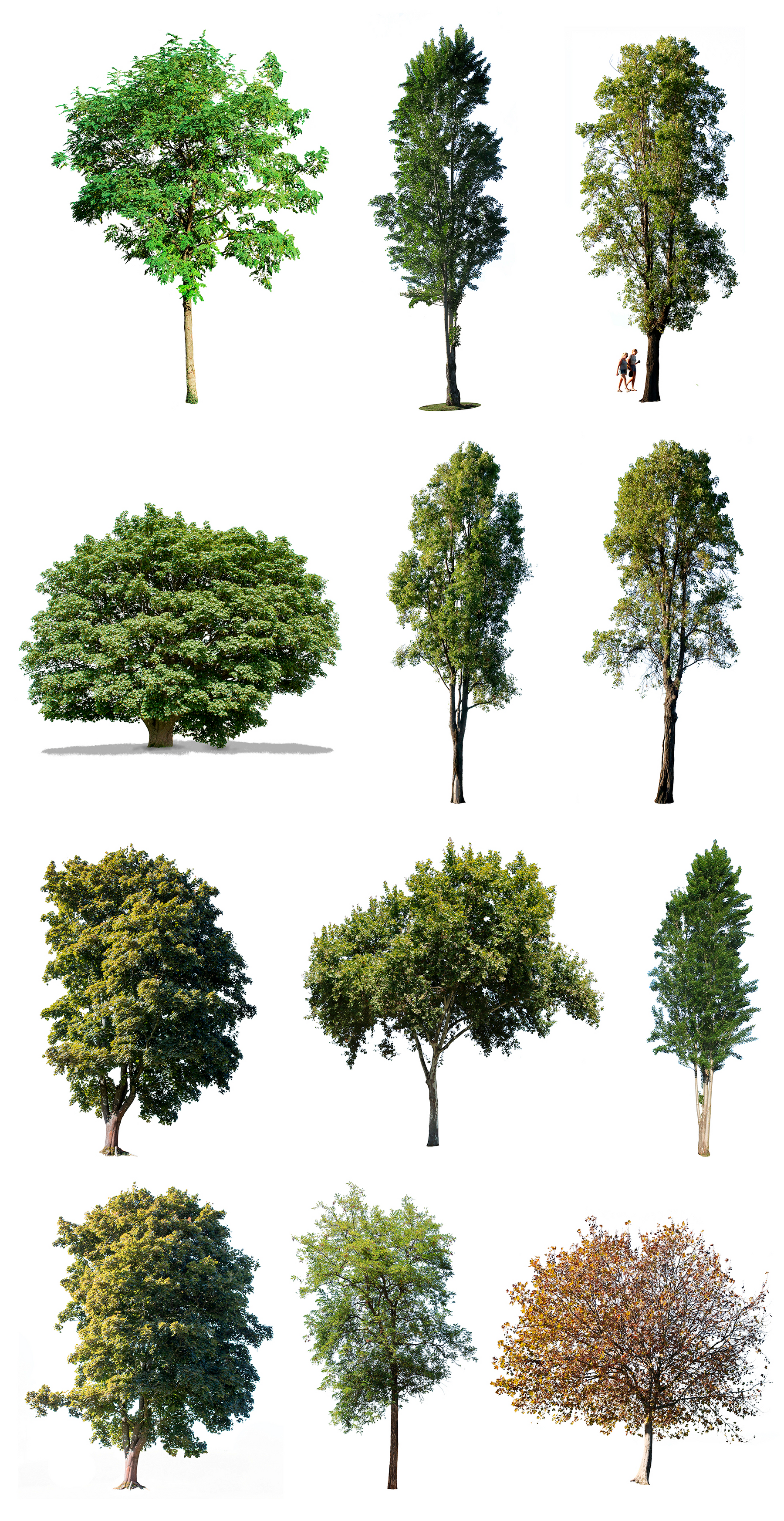 12 LARGE TREES PACK - cutout trees