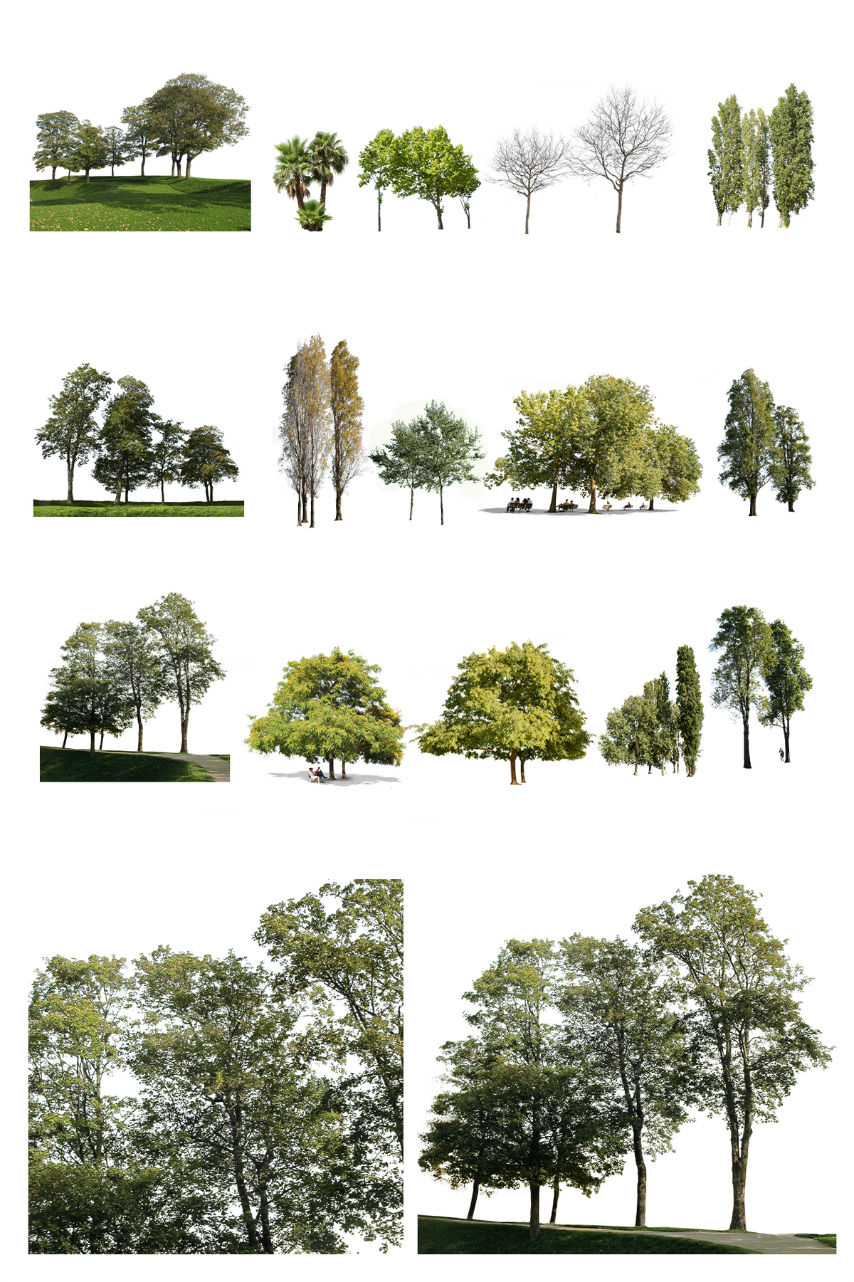 18 Tree groups Pack - cutout trees