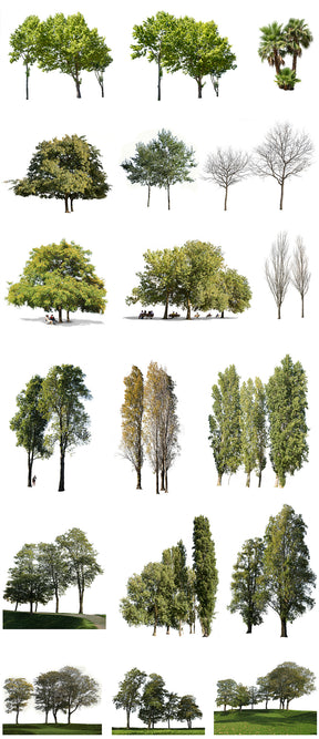 18 TREE GROUPS PACK - cutout trees