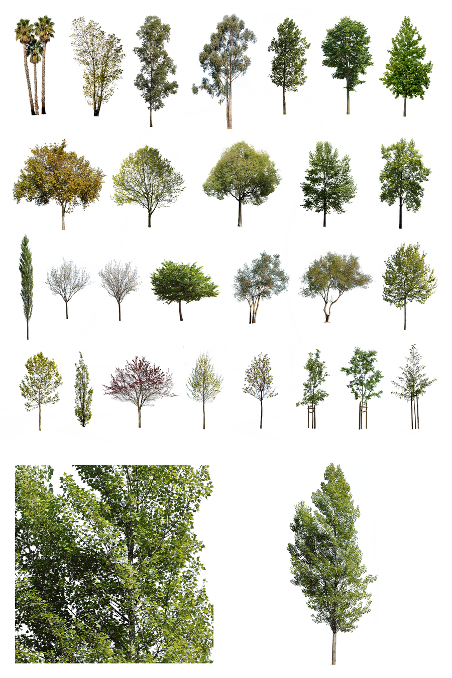 PACKAGES – Cutout|trees
