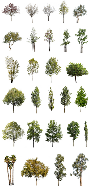 28 DIVERSE TREES PACK - cutout trees