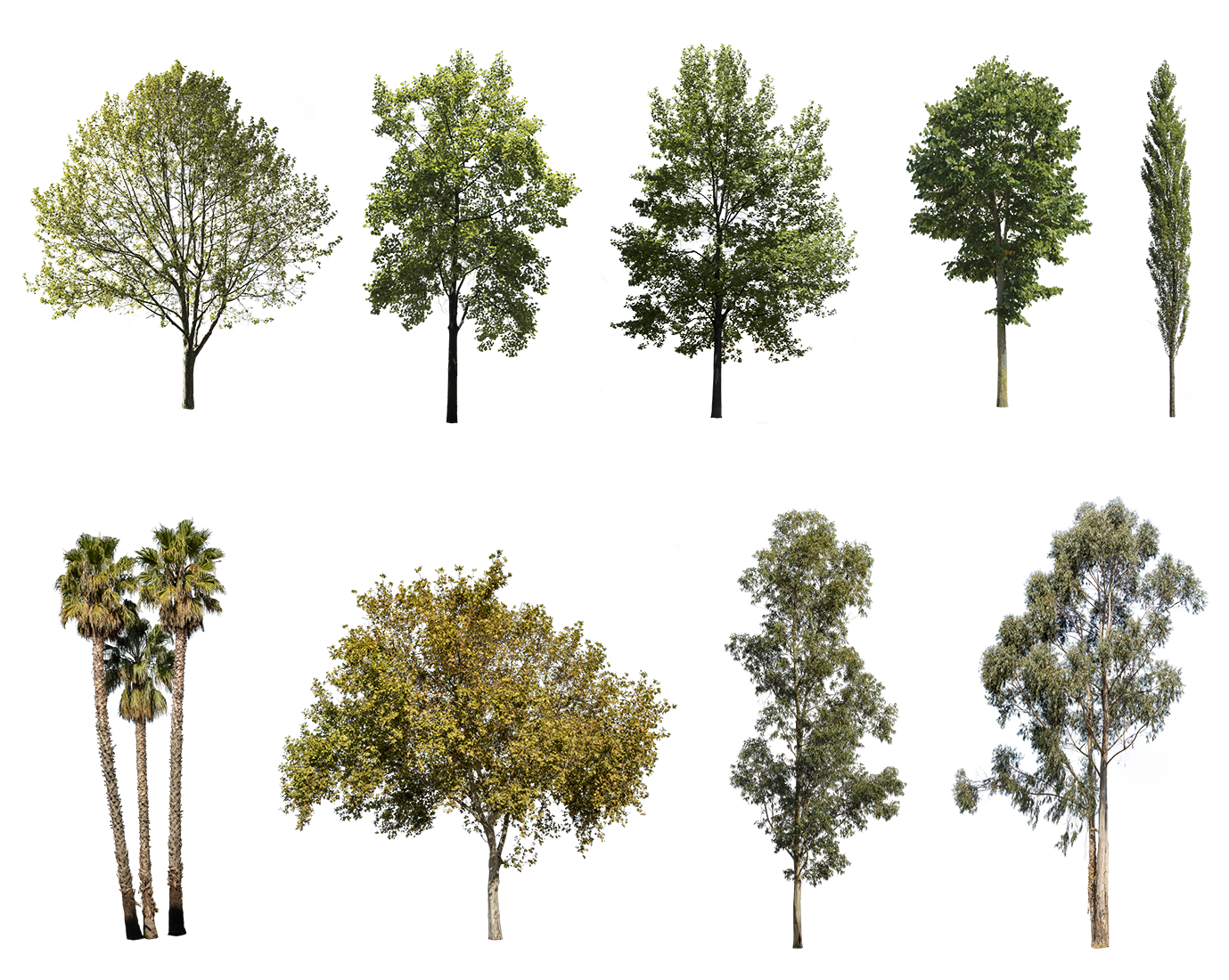 28 DIVERSE TREES PACK - cutout trees