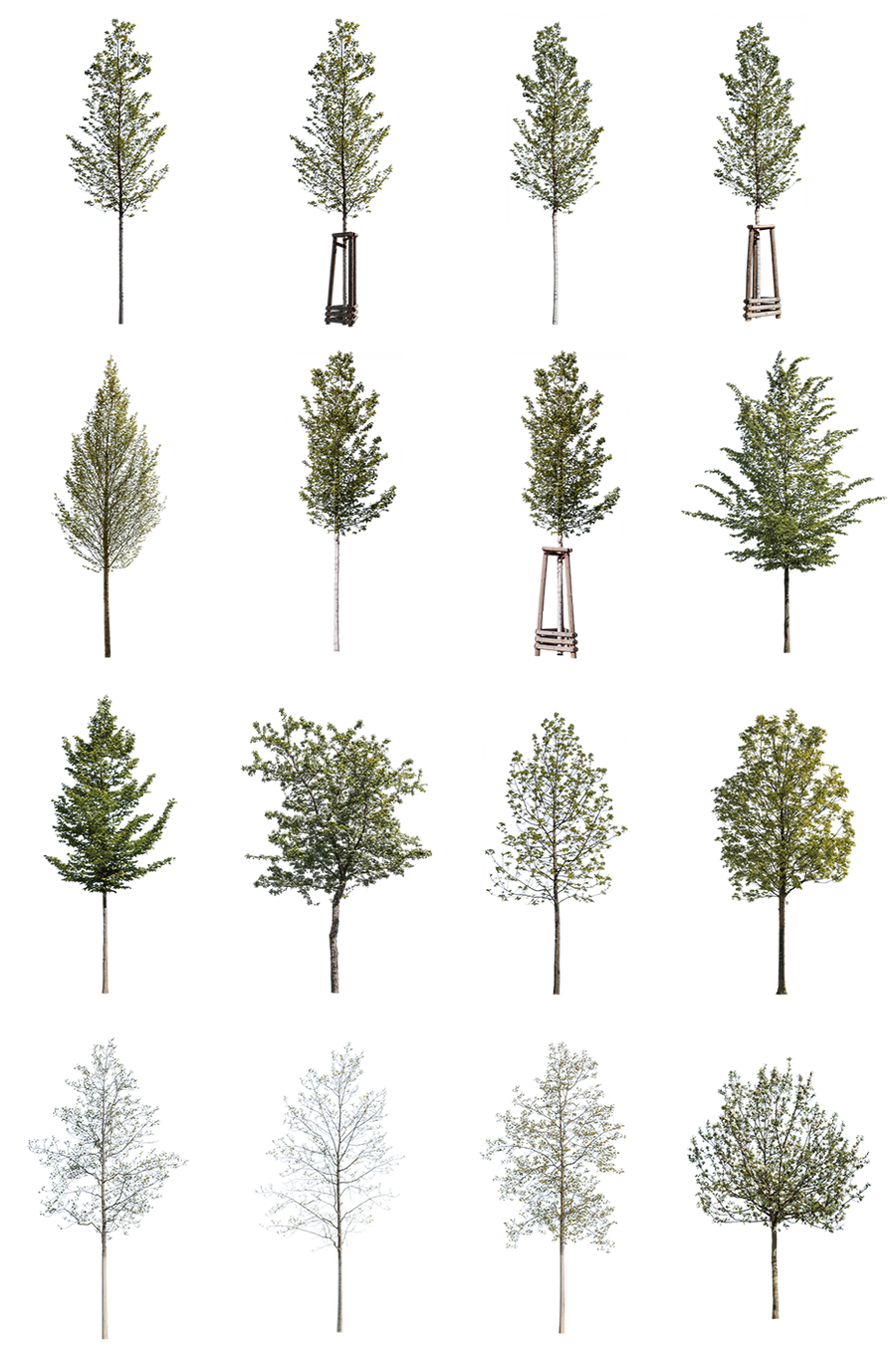 Spring Tree Cutouts — 71 Small PNG for Architectural Renders – Cutout|trees