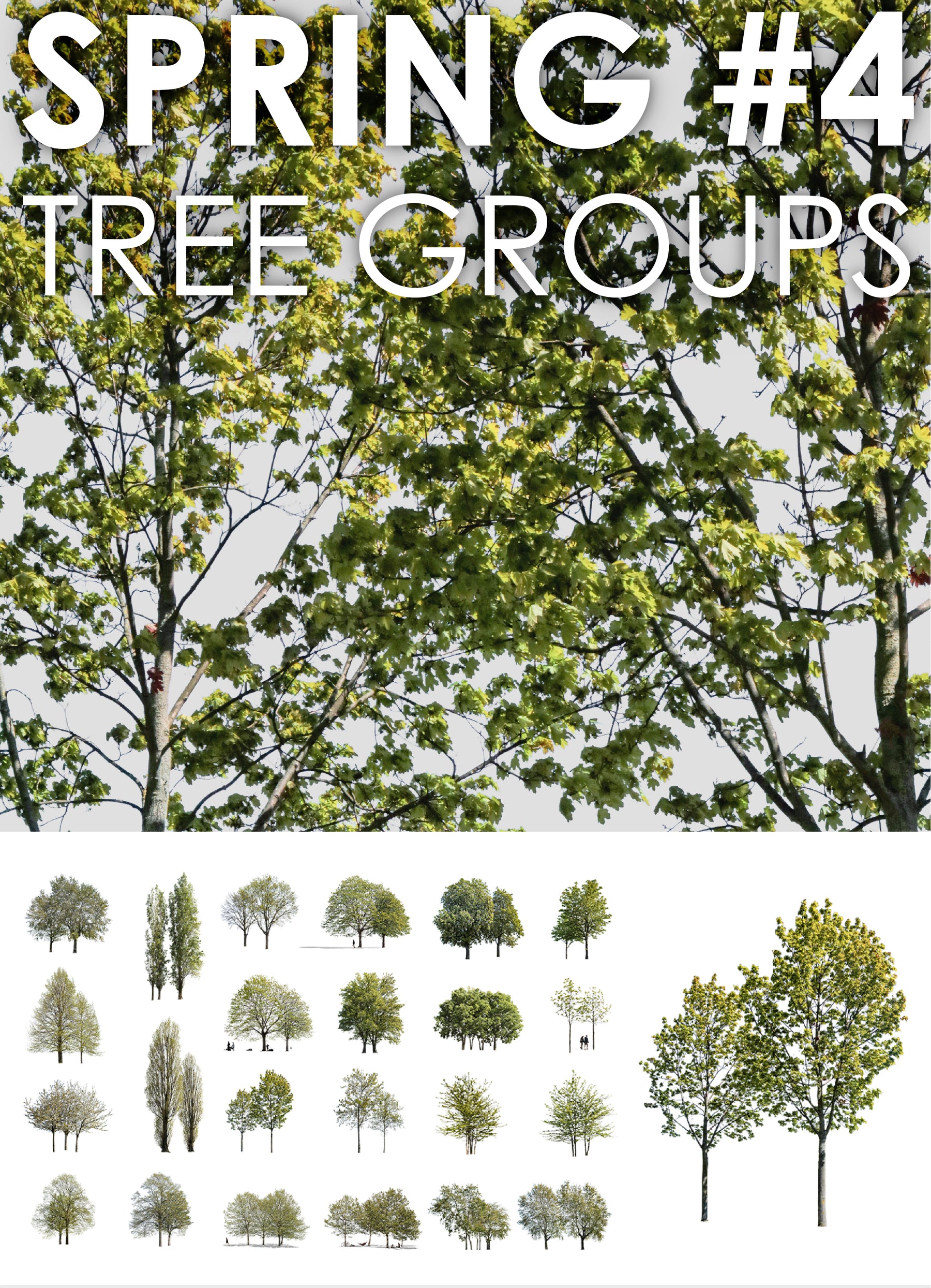 Spring | TREE GROUPS PACKAGE