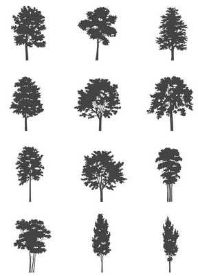 DWG Vectorial 2 - Medium Trees - cutout trees