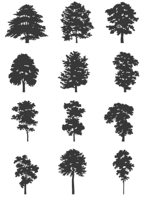 DWG Vectorial 1- Large Trees - cutout trees