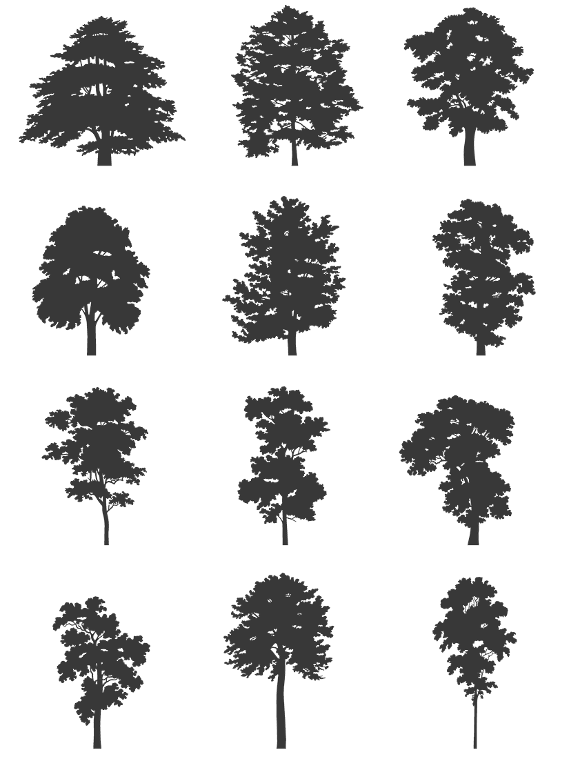 DWG Vectorial 1- Large Trees - cutout trees