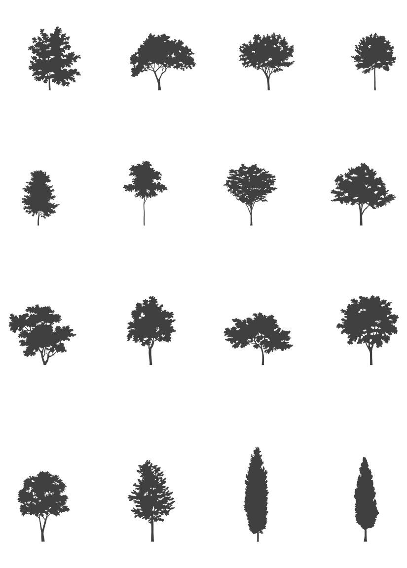 Small Trees CAD Blocks DWG — 16 Tree Elevations for Architecture ...