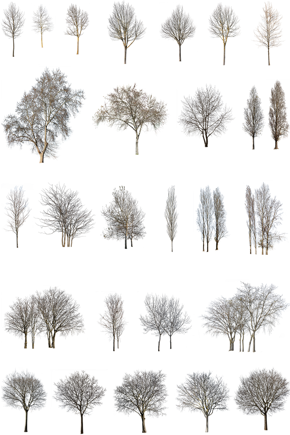 27 Winter trees Pack - cutout trees