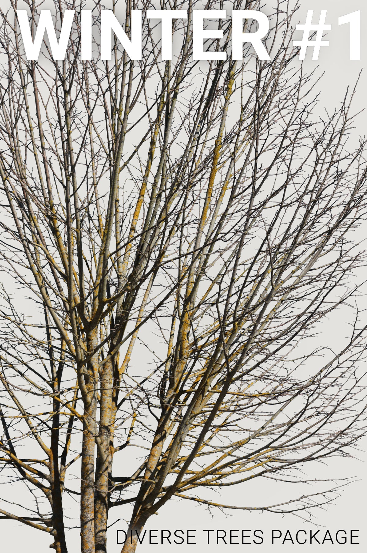 WINTER 1 | Diverse trees Package - Cutout|trees