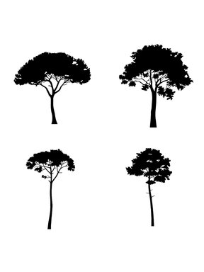 I.IV. DWG Vectorial Trees - Conifer Trees Pack - cutout trees