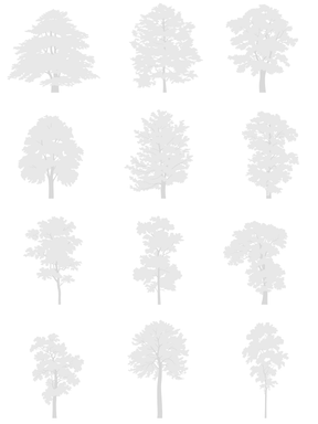 I.I. DWG Vectorial Trees - Large Trees Pack - cutout trees