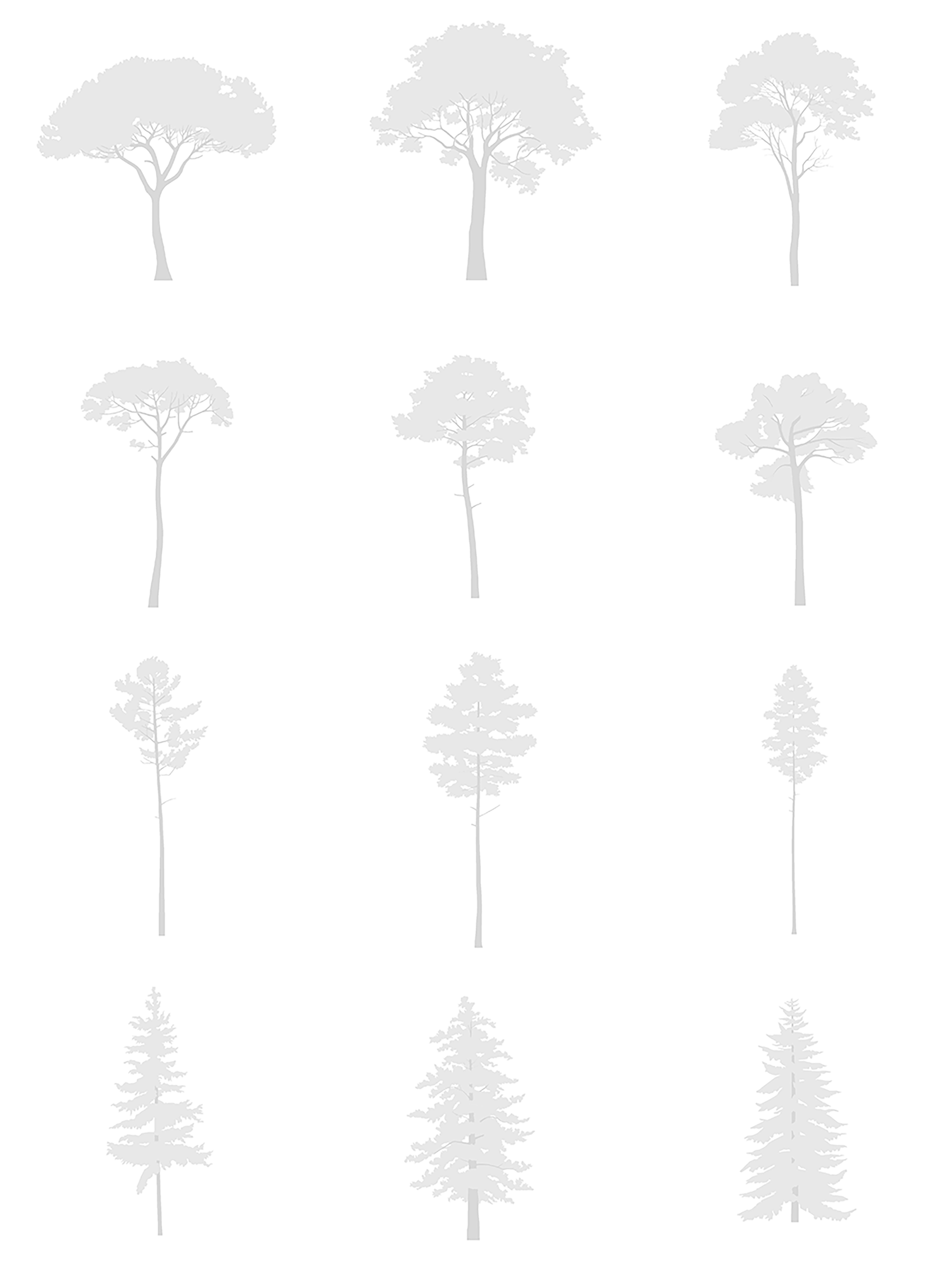 I.IV. DWG Vectorial Trees - Conifer Trees Pack - cutout trees