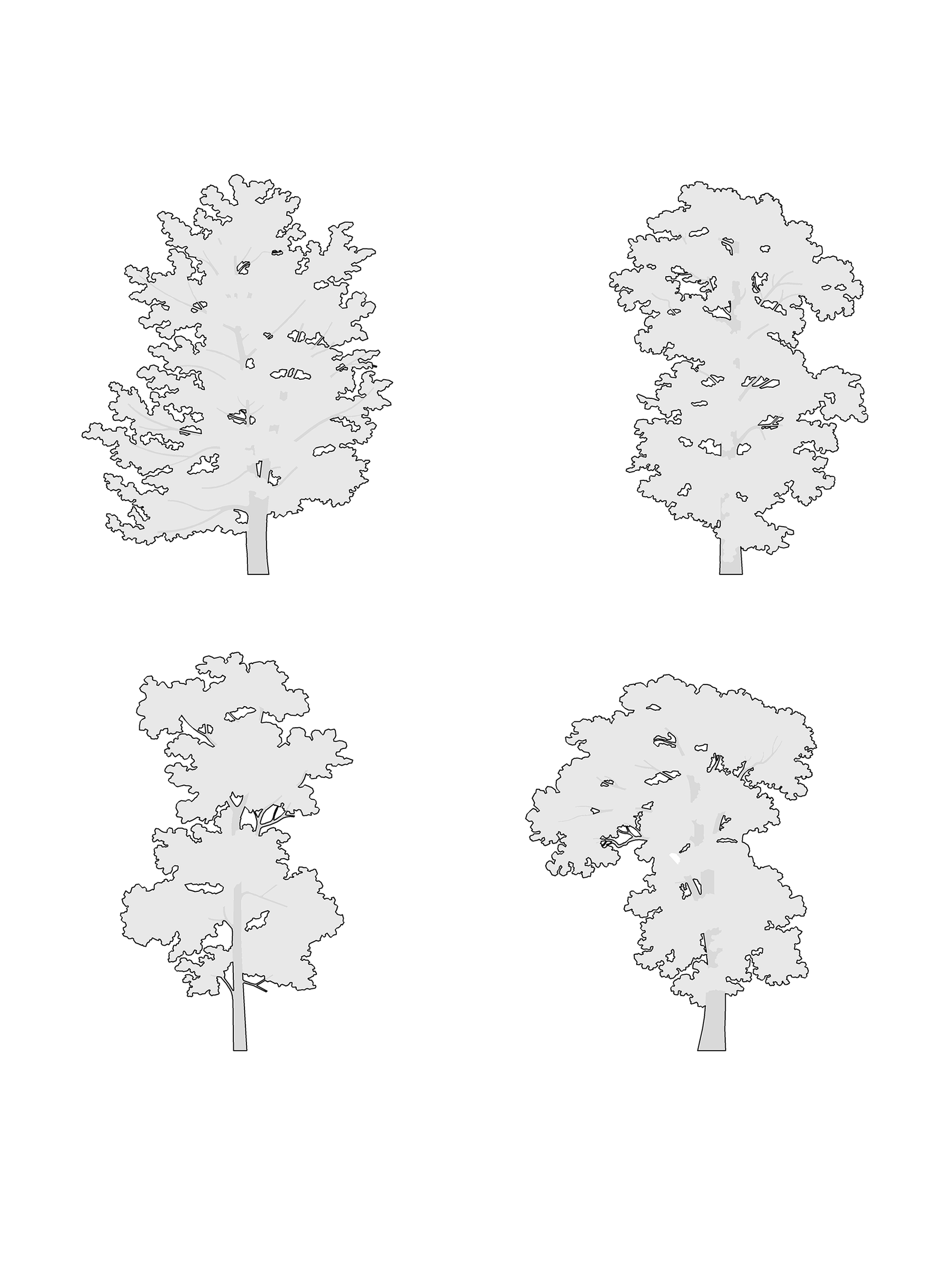 I.I. DWG Vectorial Trees - Large Trees Pack - cutout trees