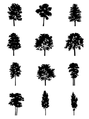 I.II. DWG Vectorial Trees -  Medium Trees Pack - cutout trees