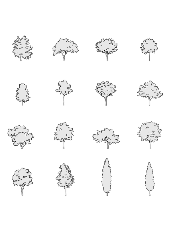 Small Trees CAD Blocks DWG — 16 Tree Elevations for Architecture ...
