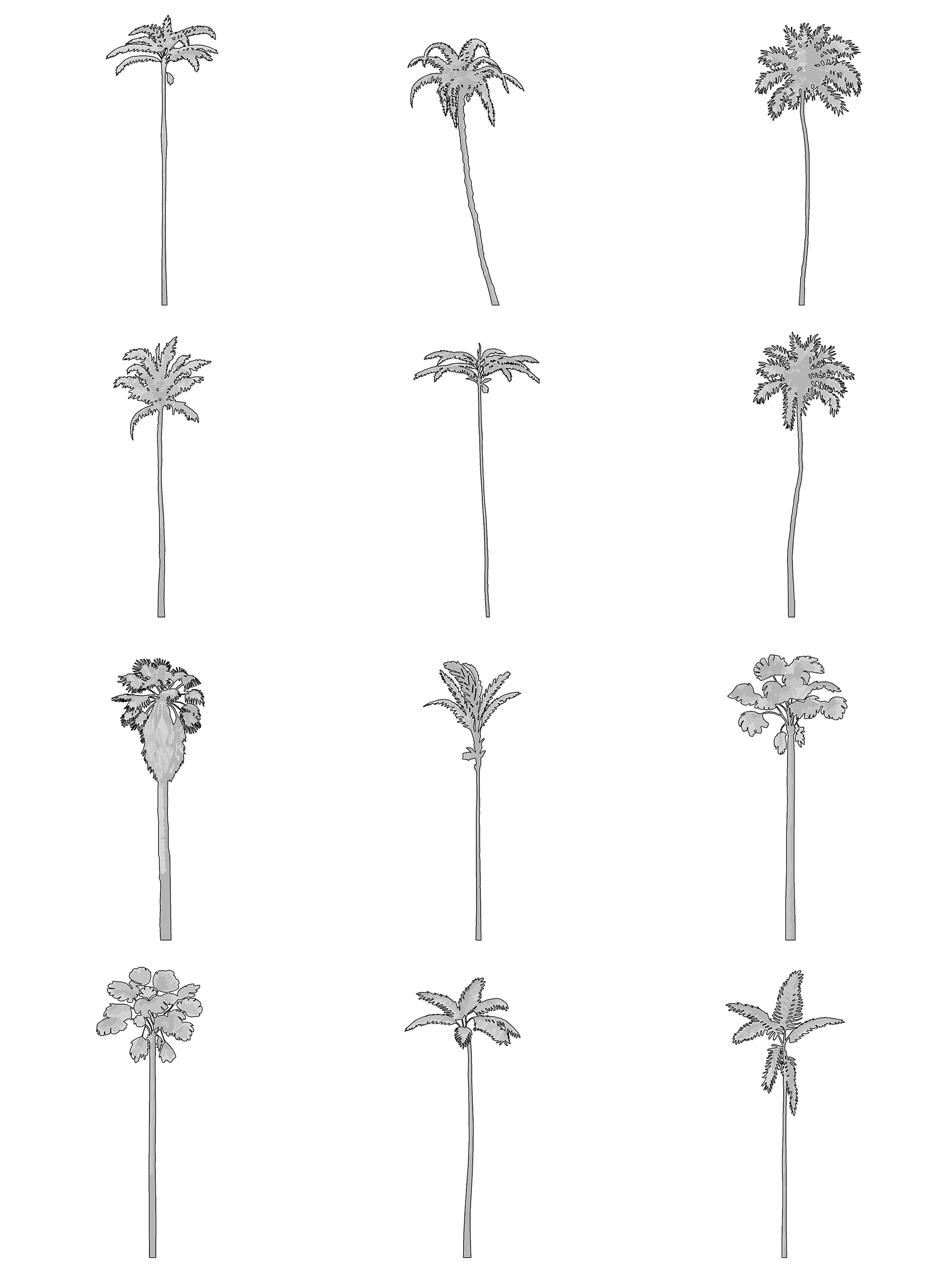 palm planting detail dwg Palm Tree CAD Blocks DWG — 12 Elevation Drawings – Cutout|trees