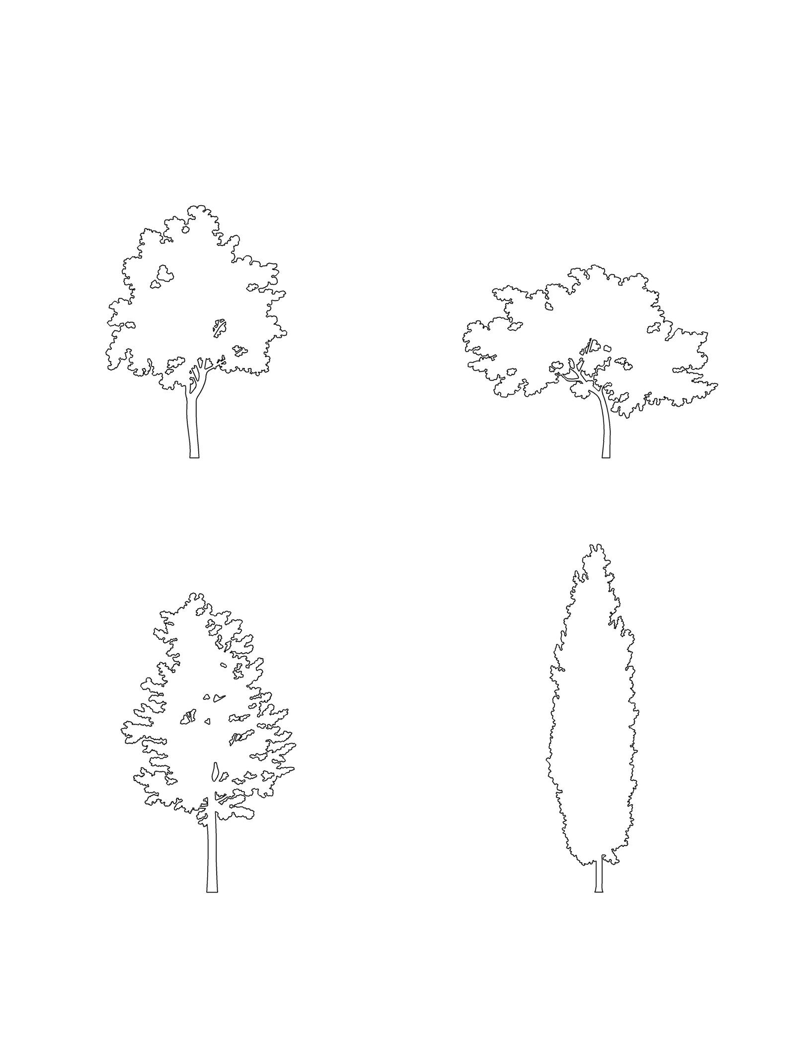 Small Trees CAD Blocks DWG — 16 Tree Elevations for Architecture ...