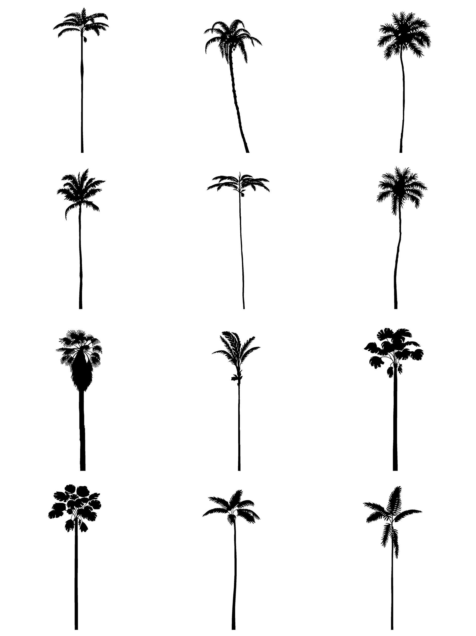 palm planting detail dwg Palm Tree CAD Blocks DWG — 12 Elevation Drawings – Cutout|trees