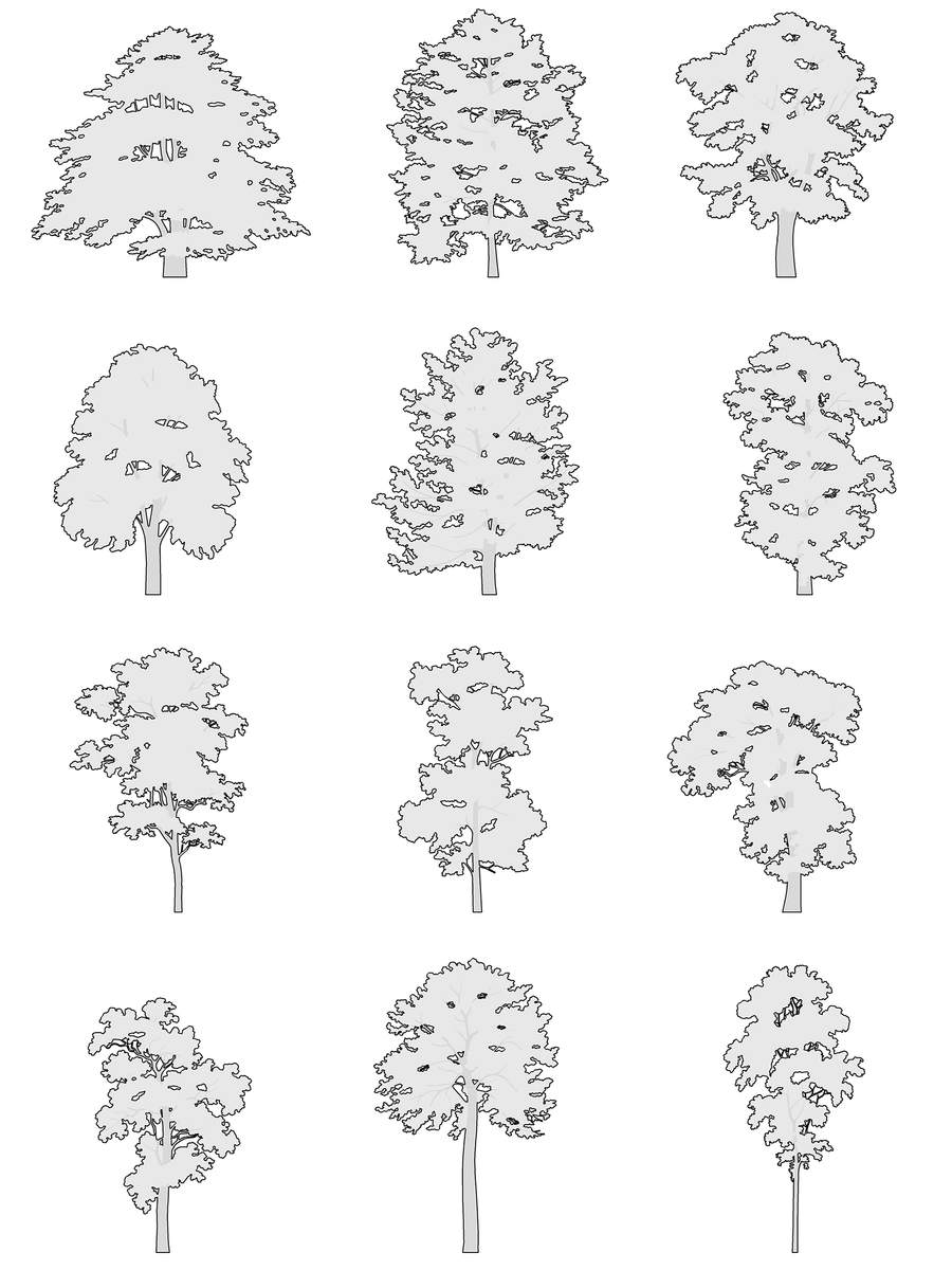 Large Trees CAD Blocks DWG — 12 Trees · 4 Styles · 48 Blocks – Cutout|trees